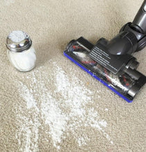 Load image into Gallery viewer, Scent n Vac carpet/floor freshness boosters.
